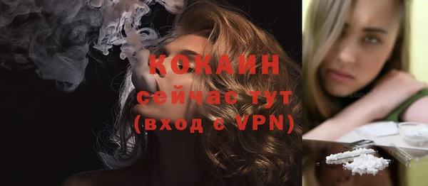 винт Новозыбков