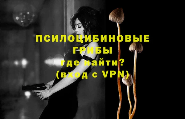 винт Новозыбков