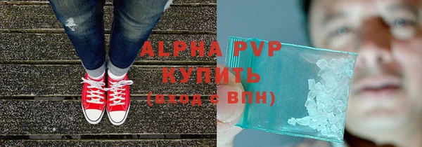 твердый Новодвинск