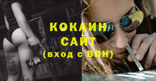 твердый Новодвинск