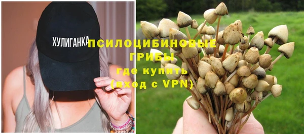 винт Новозыбков