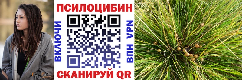 это телеграм  Котовск  Псилоцибиновые грибы GOLDEN TEACHER 