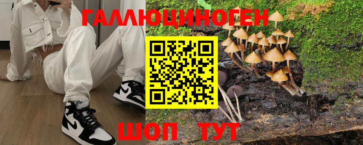 Галлюциногенные грибы Psilocybine cubensis Котовск