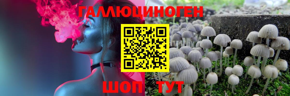 Псилоцибиновые грибы Psilocybine cubensis  Вход с VPN  Псилоцибиновые грибы ЛСД  Котовск 