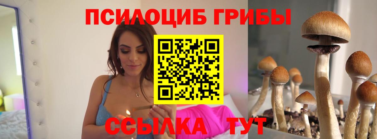 Псилоцибиновые грибы MAGIC MUSHROOMS Котовск