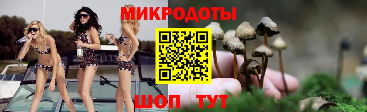 Галлюциногенные грибы мухоморы  Галлюциногенные грибы Psilocybine cubensis  Котовск 